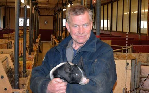 Annars är det viktigt att redan nu fundera på andra alternativ än att skicka lammen till slakt i höst.