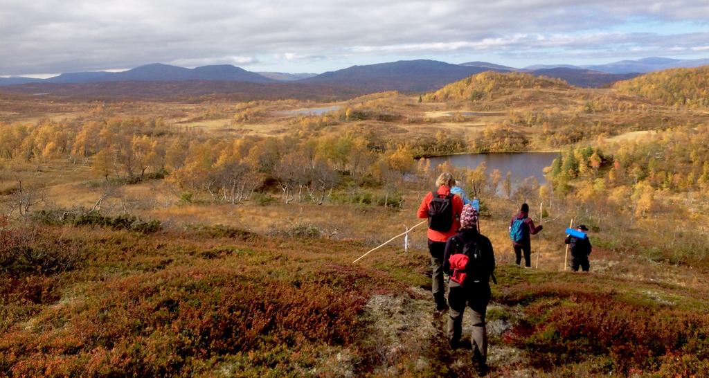 NATUR och MYSTIK En fördjupad vandringsretreat med Kajsa Ingemarsson 28 september 1 oktober 2017 När hösten i fjällen är som grannast beger vi oss till de jämtländska fjällen för att samla krafterna