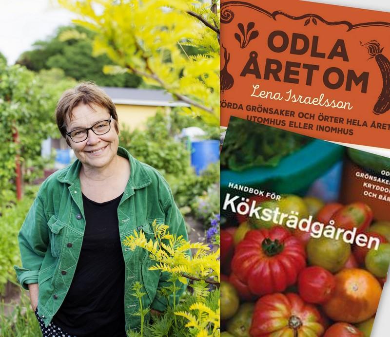 Distriktets verksamhet under 2016 Åbolands Svenska Marthadistrikts uppgift är att företräda de registrerade marthaföreningar som verkar inom dess verksamhetsområde samt främja