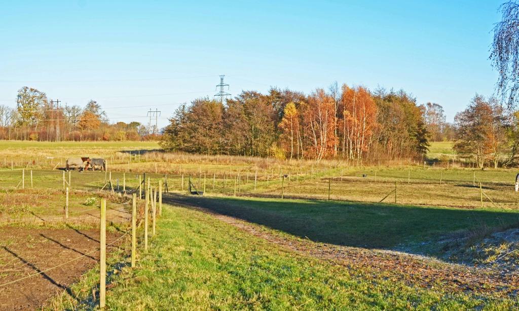 Sammanfattning Hjortshöjdens gård är en komplett och välfungerande hästanläggning för en professionell hästverksamhet.