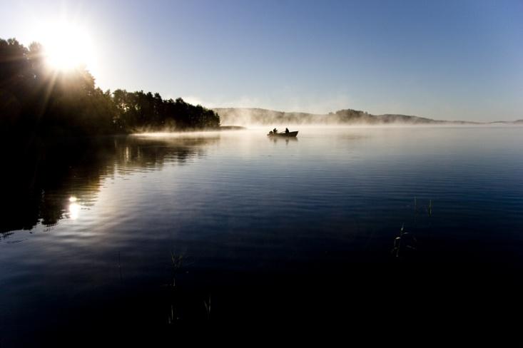 12. Levande skogar 13. Ett rikt odlingslandskap 14. Storslagen fjällmiljö 15. God bebyggd miljö 16.