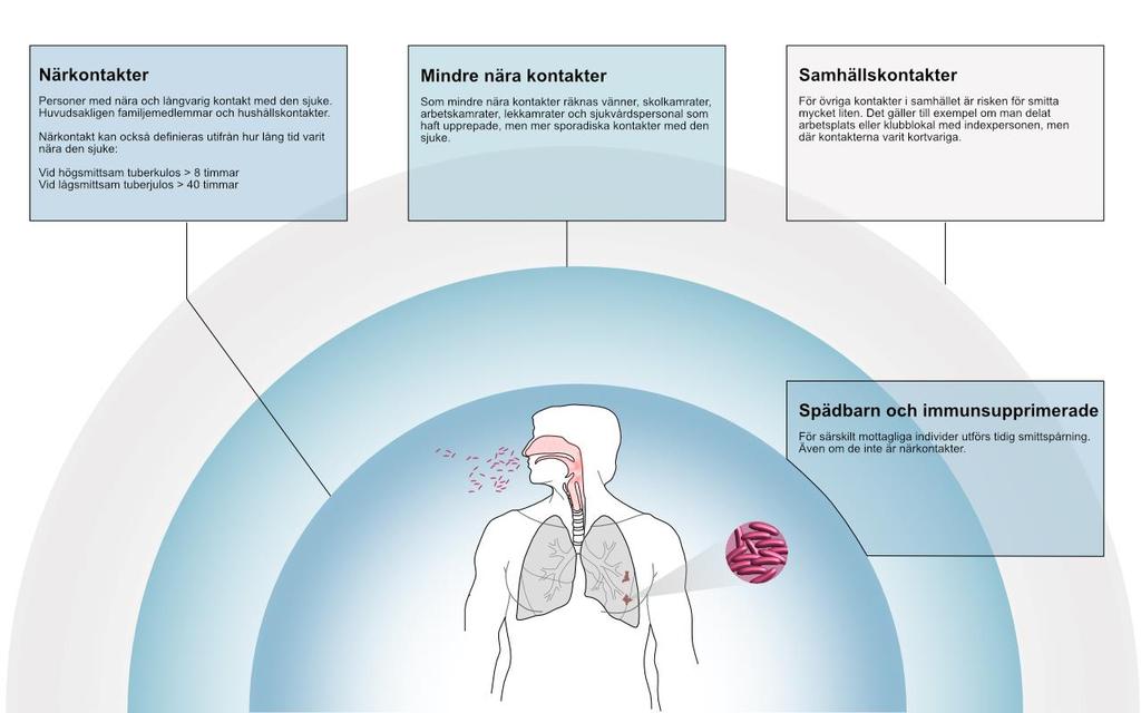 Figur 2. Kartläggning av kontakter Åtgärder Kartläggning Den sjukes familj och sociala kontaktnät listas systematiskt utifrån risk för exponering, smitta och aktiv sjukdom.