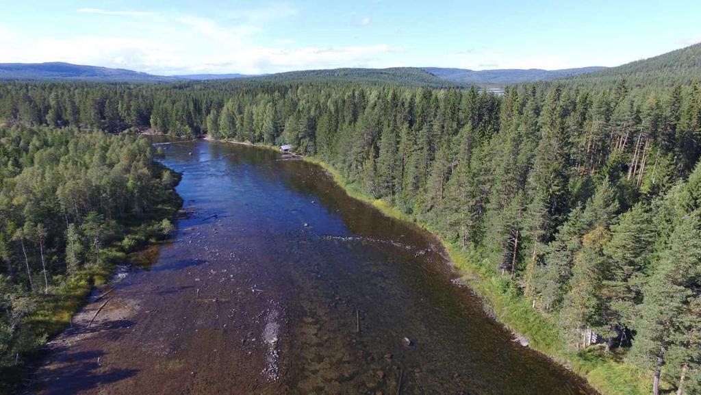 Vid den oreglerade Gimåns strand i byn Gimdalen ca 2 mil nordöst om Bräcke ligger denna virkesrika skogsfastighet med en areal om ca 235
