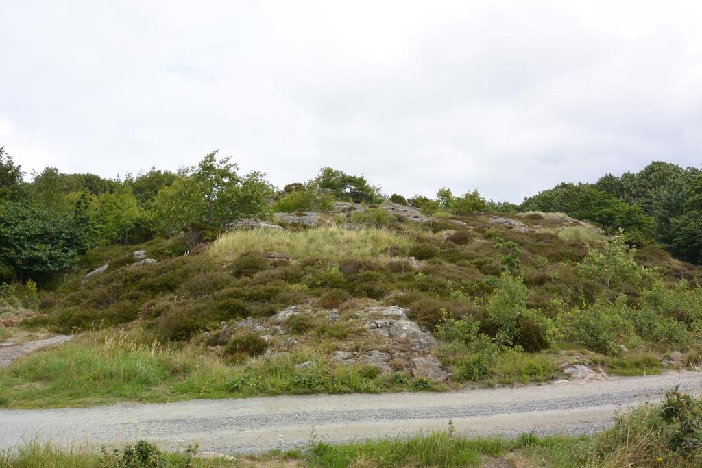 Lokalisering av