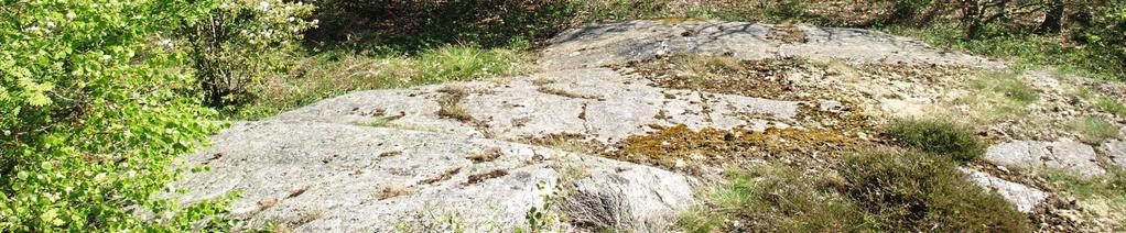 Rofylld, lugn och naturskön plats Gärna vid havet eller i skogen Tillgänglighetsperspektivet viktigt Bör samtidigt ligga avskild