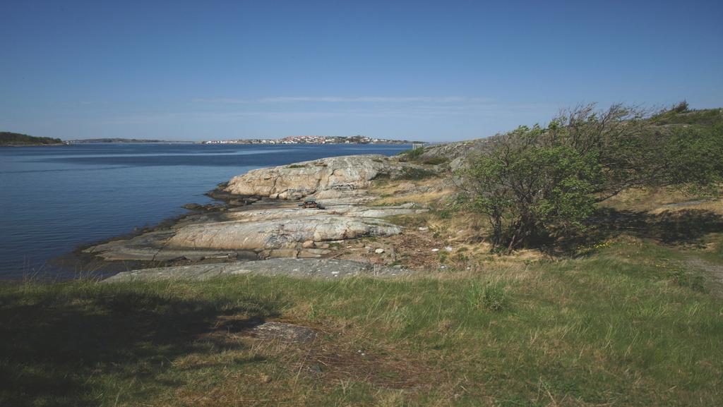 Företag/Verksamheter (ICA och verksamheter kopplade till hamnen i allmänhet) Medborgarengagemang och