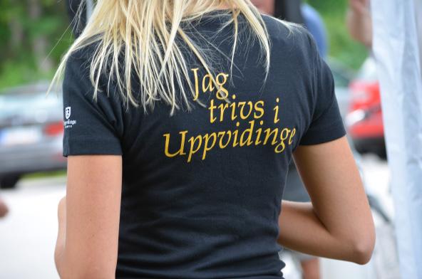 Efterfrågan för särskilda målgupper De målgrupper som söker bostad i Uppvidinge kommun eller som redan bor här och vars behov förändras ser väldigt olika ut, bostadsförsörjningsprogrammet utgår från