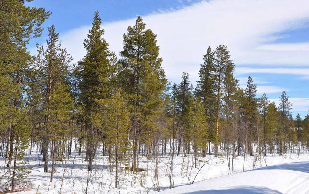 SKOG OCH MARK SKOGSMARK Enligt skogsbruksplanen som är upprättad 2016 av Carl-Johan Gärdemalm vid Forum Fastighetsekonomi AB omfattar den produktiva skogsmarksarealen 98,4 ha och virkesförrådet har
