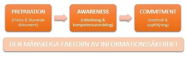 förändringar i riskbilden, det arbete som genomförts, resultat av egna och oberoende granskningar samt förslag på bättre policy och riktlinjer.
