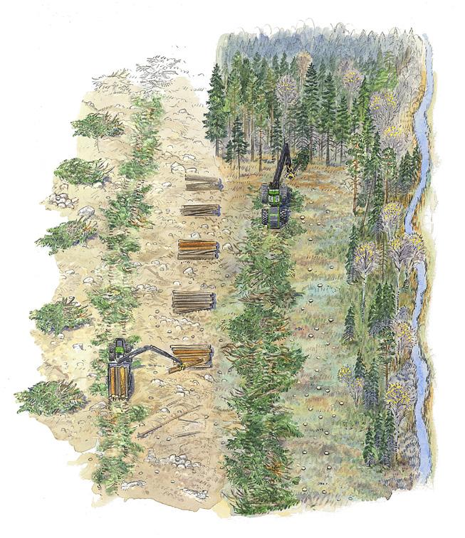 Meddelande 9 2016 Implementering av målbilder för god miljöhänsyn Illustratör: Martin Holmer Johan Wester,