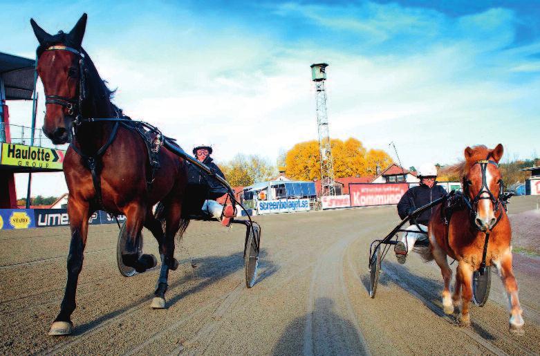 RO0090-9 9 Ljusgrön Dala Ponnytravklubbs Lopp Kategori B.00,0 och sämre, körda av C- eller D- licensinnehavare. 0 m. Autostart. Prispoäng: 00-00-00-0--(00). Prispremier utdelas enligt prispoäng.