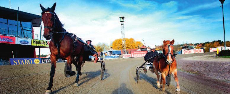 RO0090-0 0 Rosa Södra Gulddivisionen. Dalarnas Sparbanks Lopp Kategori A lägst.00 pp, körda av A-B- eller C- licensinnehavare. 0 m. Tillägg Specialarn.0,0.