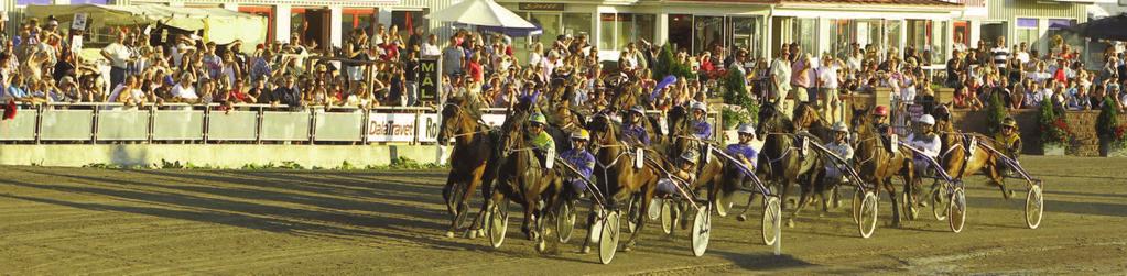 Romme Telefon 0-9 00 www.dalatravet.se info@dalatravet.se 0, Mz MÅNGA FINA PONNYLOPP PÅ ROMME IDAG!