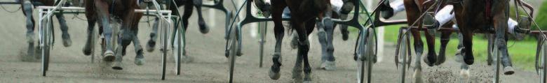 e Ernst Romeo - : 0 0-0-0 0 : 0 0-0-0 0 Tot: 0 0-0-0 Gilda Roll e Julle Ek A G /8 -k / 0 k,8 g ejg - Uppf: Westergren Bengt, Ystad Ek A Bs /9 -k / 0n k, gdk - Äg: Ek Mathilda & Anna - Svart, cerise