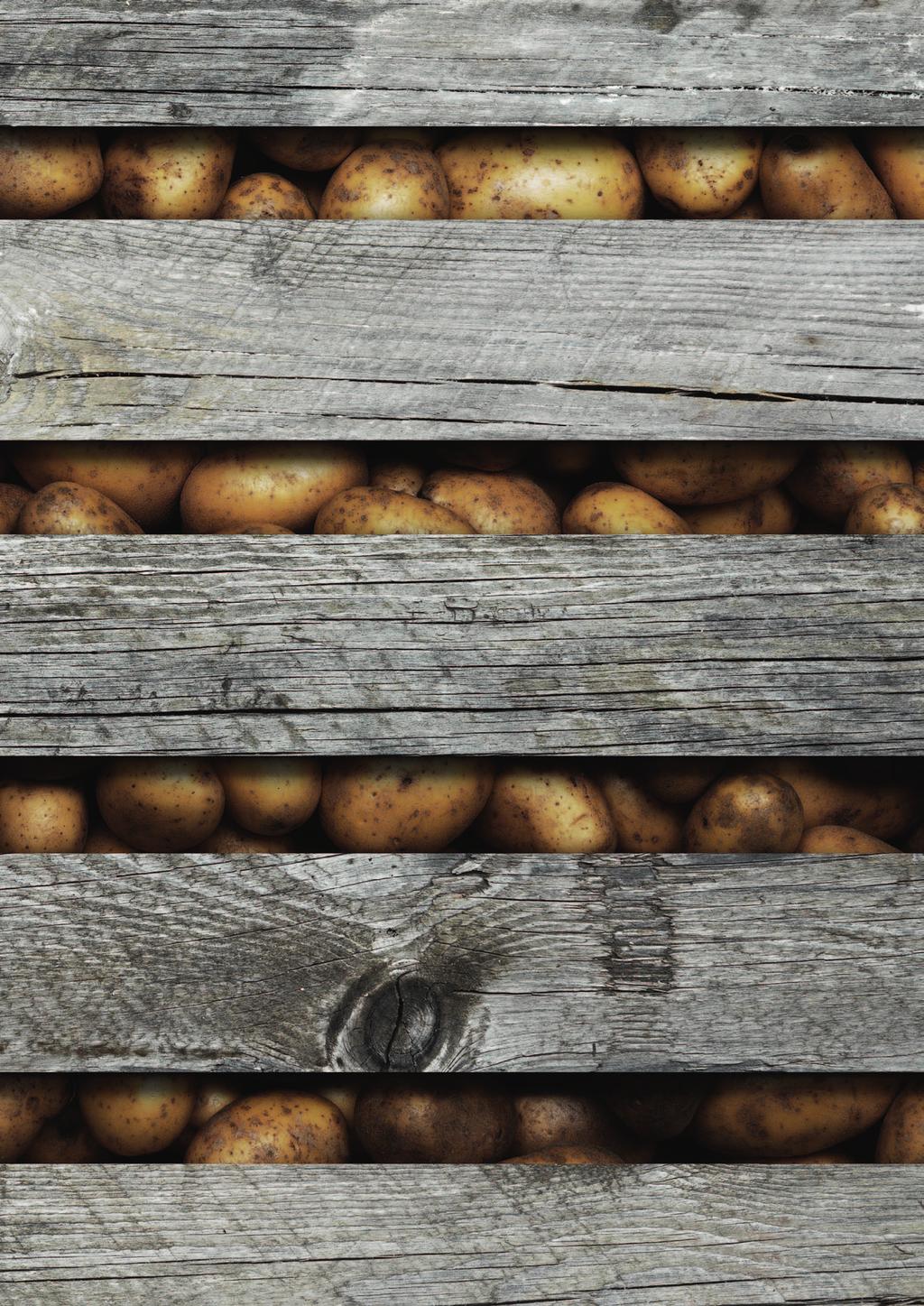 Aviko Norden allt det goda från jorden. Aviko Norden är din ledande leverantör av potatis, lök och rotfrukter.