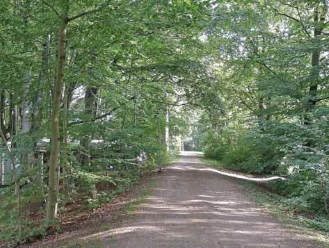 Från Scoutstigen och västerut finns gång- och cykelbanor på båda sidor ända fram till Havsbadsvägen.