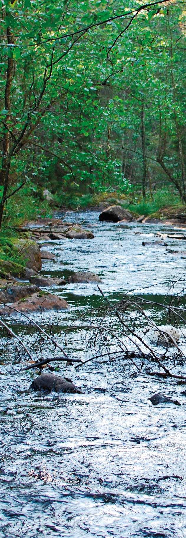 Vattenkvaliteten måste vara tillräckligt bra för att kommunerna belägna längst nedströms också ska kunna använda det. Därför krävs ett samarbete och en samsyn i hela avrinningsområdet.