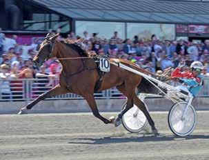 ELITLOPPSHELGENS VINNARE FREDAG (häst-kusk-tid) Lopp 1 Gunell Palema Christoffer Eriksson 12,9 V65-raden: 4-5-3-12-5-12. 6 rätt (74,54): 27.229 kr. 5 rätt: 750 kr.