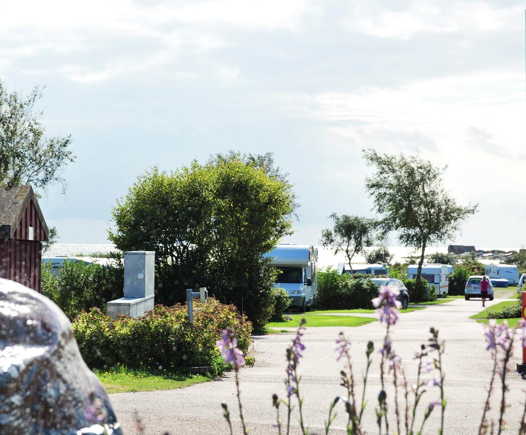 1. Inledning Till tillfälliga boenden räknas bland annat hotell, vandrarhem, campingplatser och bed & breakfasts, det vill säga lokaler där allmänheten erbjuds att bo tillfälligt.
