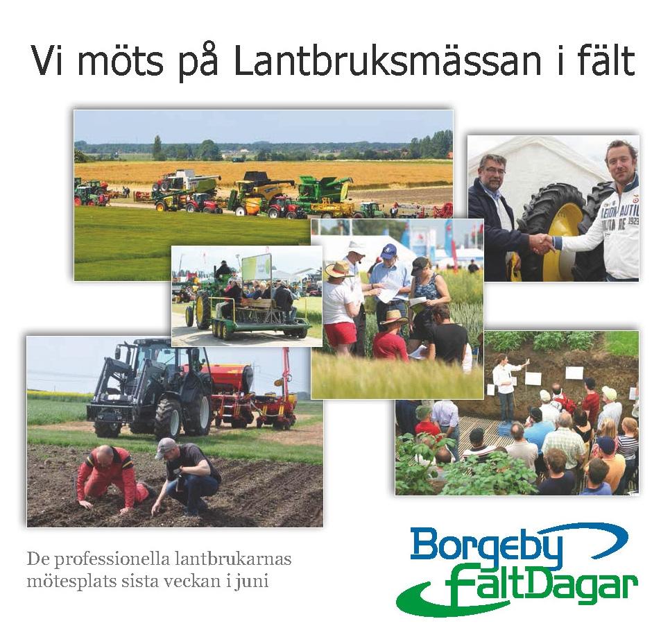 Guide till dig som är utställare på Borgeby