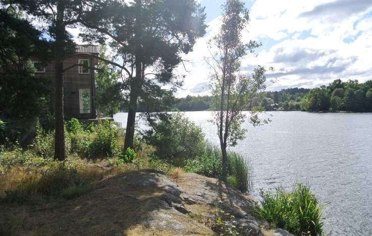 Håll strandvegetationen gles för att bevara kontakten med
