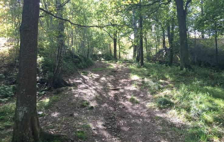 2. Herrängsskogen Karaktär och storlek: Bostadsnära natur,.5 ha. Innehåll: Herrängsskogen är belägen intill Vantörsvägens södra sida. Skogen är kuperad och består av hällmarksskog.