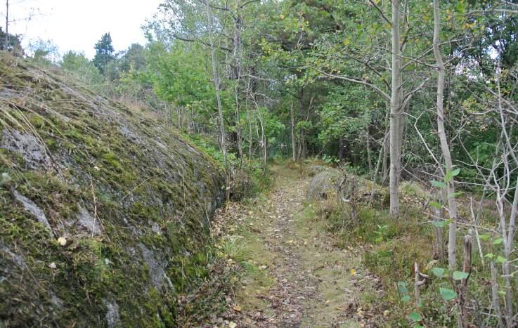 23. Långängsdungen Historik Namnet antyder att naturmarken varit glesare en gång i tiden. Trappor och gångvägar har antagligen anlagts i samband med att omgivande villabebyggelse uppfördes.