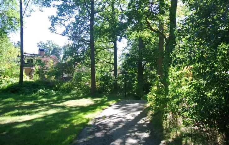 25. Natur vid Aklejarondellen Karaktär och storlek: Bostadsnära natur,.34 ha. Innehåll: Runt Aklejarondellens finns separata grönytor och längs den södra halvan finns tre separata områden.