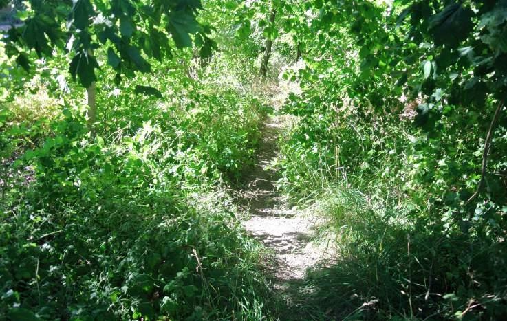 Trygghet: Rondellen är öppen och har en god kontakt med omgivningen. Hög och tät vegetation ger en mörka och dolda partier i områdena.