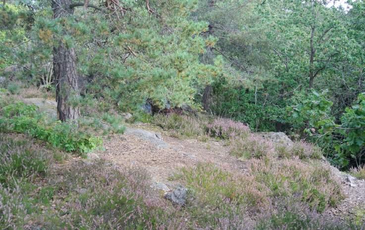 27. Norrhagen Karaktär och storlek: Bostadsnära natur,. ha. Innehåll: Mot gränsen till Fruängen finns ett långsträckt område norr om Mickelbergsvägen.