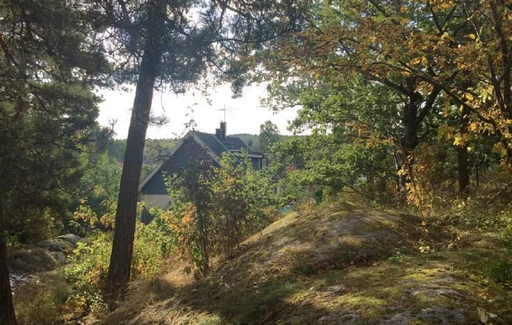 28. Natur vid Orrbrinken Karaktär och storlek: Bostadsnära natur,.3 ha. Innehåll: Mellan Knäpparvägen i öster och Orrbrinken i väster sträcker sig ett område mellan villaträdgårdar.