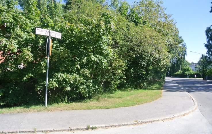 43. Grönytor vid Långsjövägen- Myrtenvägen- Gårdsstigen Karaktär: Övriga gröna friytor (Gatumark).
