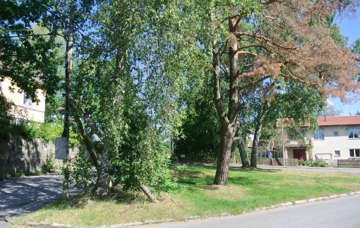 44. Grönyta vid Flugstigen- Myggstigen- Karslundsvägen Karaktär: Övriga gröna friytor. Innehåll: Mellan Flugstigen, Myggstigen och Karlslundsvägen finns en triangulär yta.