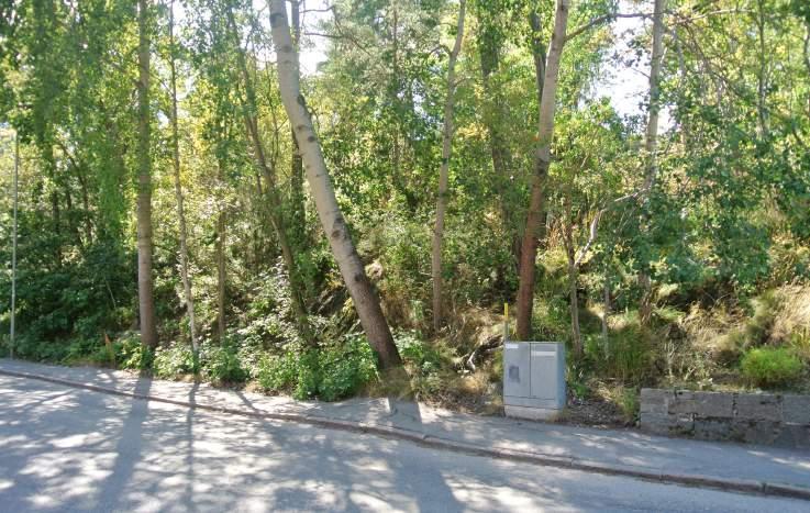 46. Grönyta vid Myrvägen Karaktär: Övriga gröna friytor. Innehåll: Intill Myrvägen finns en smal och sluttande skogsklädd remsa med naturmark.
