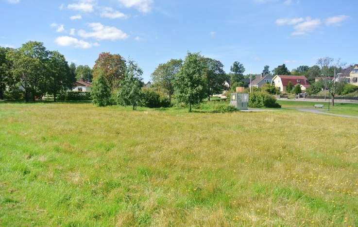 Trygghet: Belysningen är koncentrerad kring gång- och cykelvägarna. Parken har en öppen karaktär och innehåller inga dolda eller mörka partier.