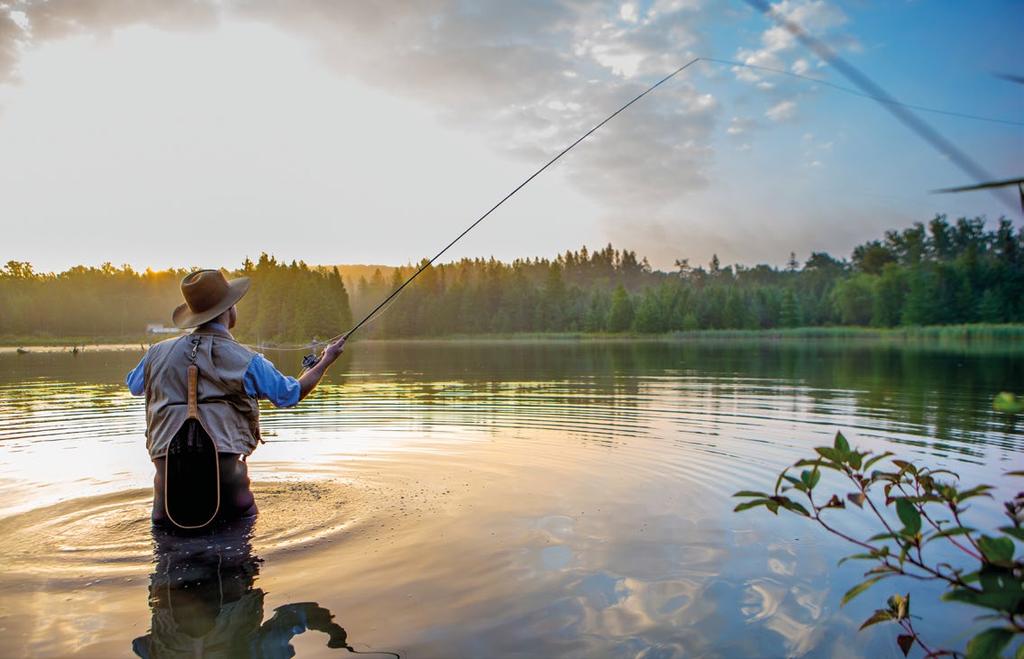 Välkommen till din nya fiskekedja Vår kunniga personal hjälper dig rätt ARVIKA BRO GISLAVED GÄVLE GÖTEBORG HALMSTAD HUSKVARNA KARLSKRONA KIRUNA KÅLLERED LINKÖPING MALMÖ ORSA OSKARSHAMN PITEÅ