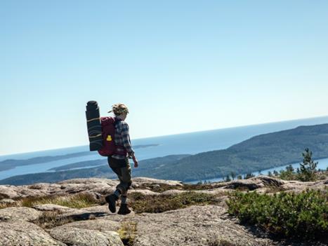 Drivkraftssegment - vad vill man göra på sin Sverigeresa?