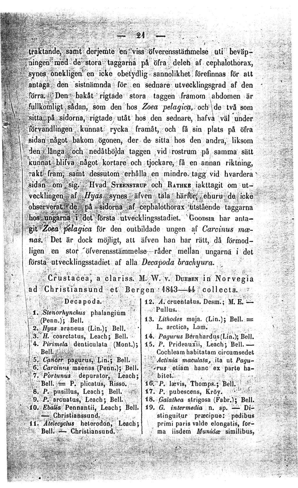 m-^:.i M, tfalstande, samt derjemle 'en "viss-öfverensstäihmelse üti' bevapj hingen med de stora taggarhä pä öfra. deleh af cephalotborax 5 synes bnekhgea en icke obetydlig sannolikhet.