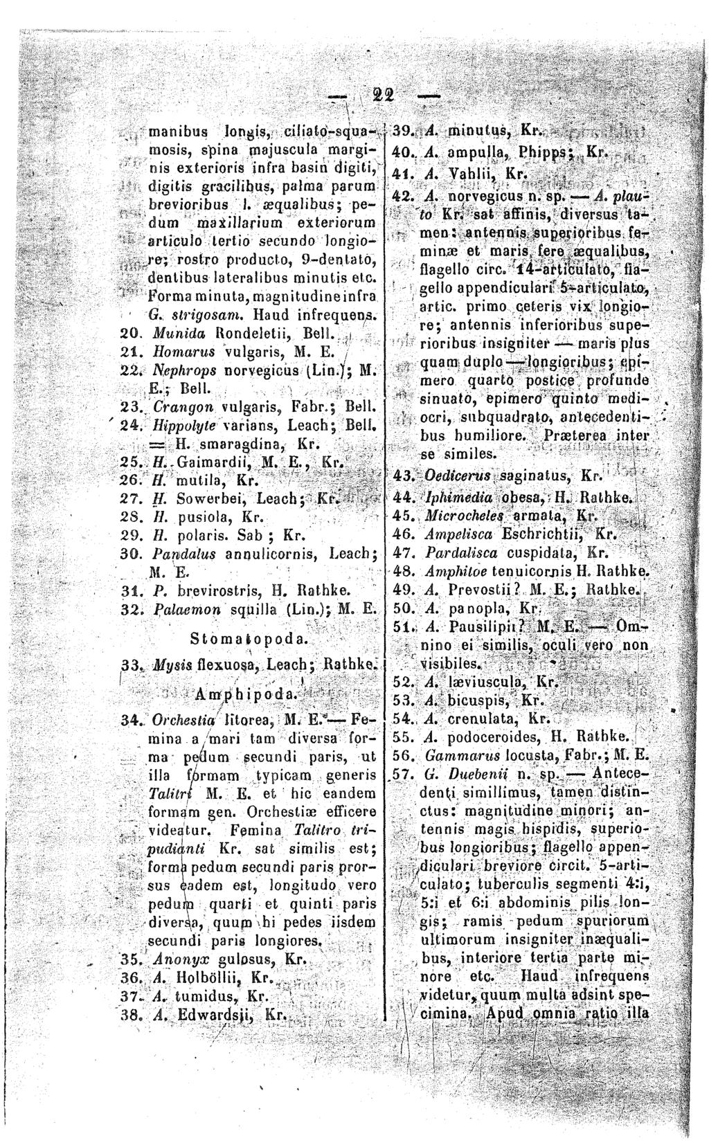 ' %% manibus longis, cilialo-squamosis, spina pajuscula marginis exterioris inf ra basin digiti, digitis graciiihus, palma parum brevioribus j.