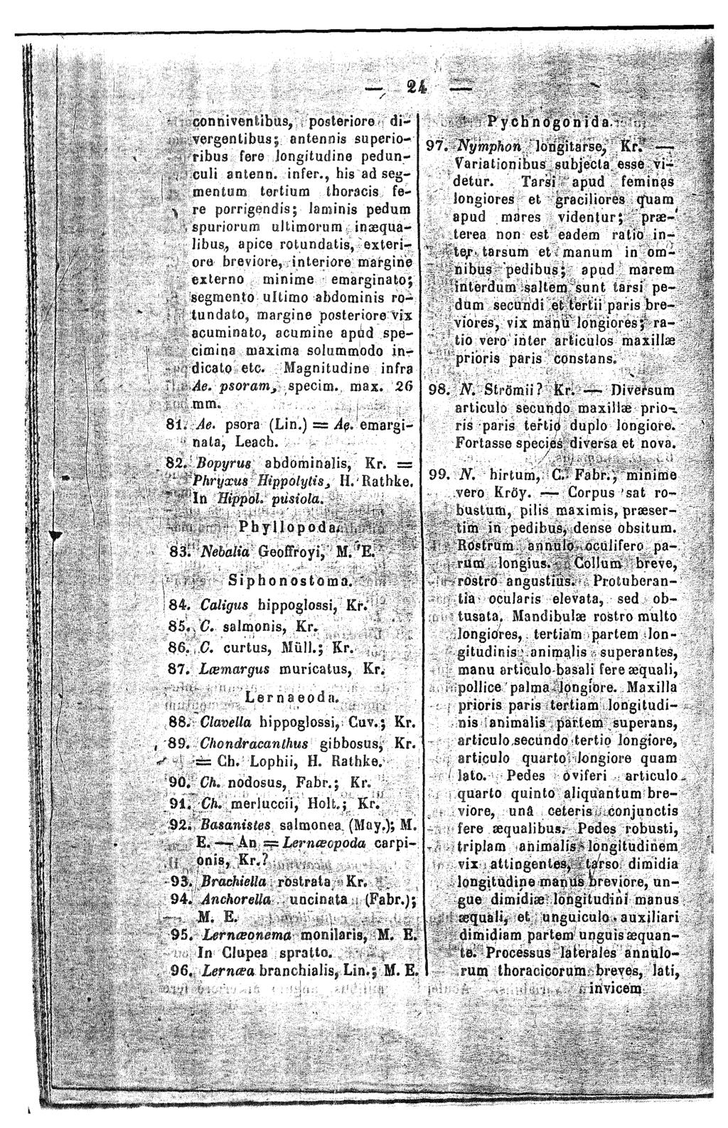 . u ~ connivenlibus, posteriore di- wrgenubusj entennis superio- ribus fere iongitudine pedun-,. cult antenn. in fer., his ad segtnentum tertium thoracis fe- \ re pocrgondis; Jon:inis pedum -.