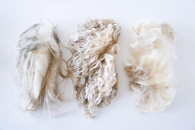 3.3 Ullfiberns uppbyggnad och olika ulltyper Det finns tre olika ullhårstyper, bottenull, täckhår och märg- dödhår. Ett ullhår (fiber) består av olika cellskikt.
