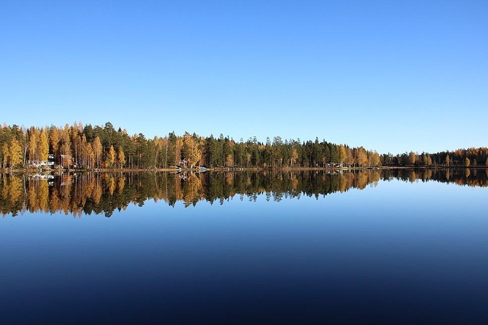 Skog med egen strand, Järbo SANDVIKEN JÄRBO-FINNÄS 1:29 Mellan Sandviken och Kungsberg ligger denna skogsfastighet med naturskönt läge och egen strand.