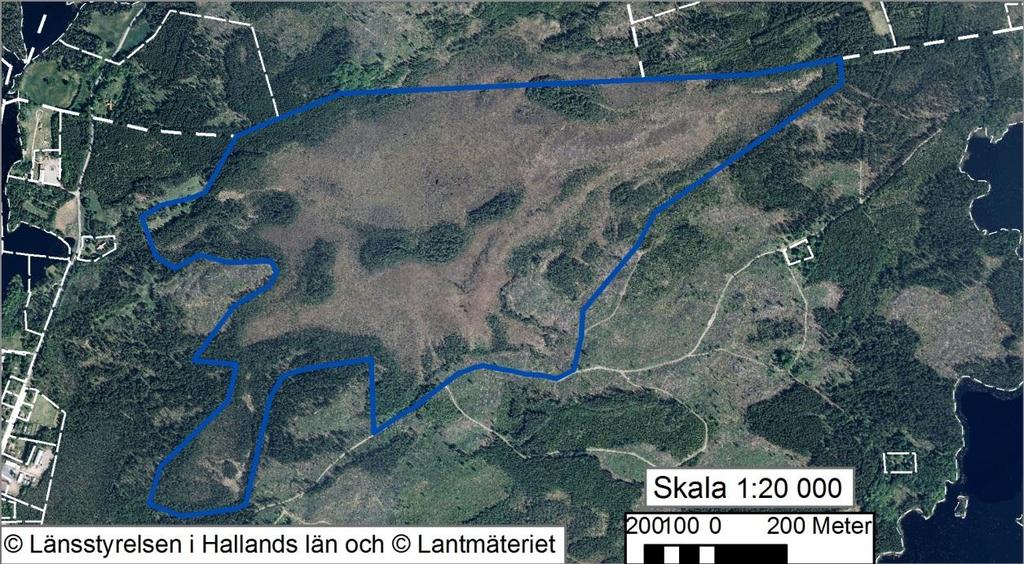 LÄNSSTYRELSEN SKÖTSELPLAN 6 (22) Figur 3. Flygbild från 2008 över området. Naturreservatets gräns är blåmarkerad. 2.5 Beskrivning av bevarandevärden I naturreservatet Lunnamossen finns två delområden som ingår i våtmarksinventeringen.
