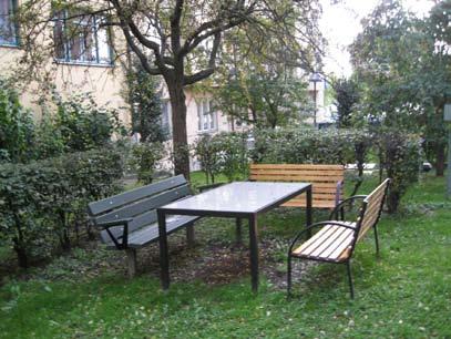 Yviga buskar som har växt ur