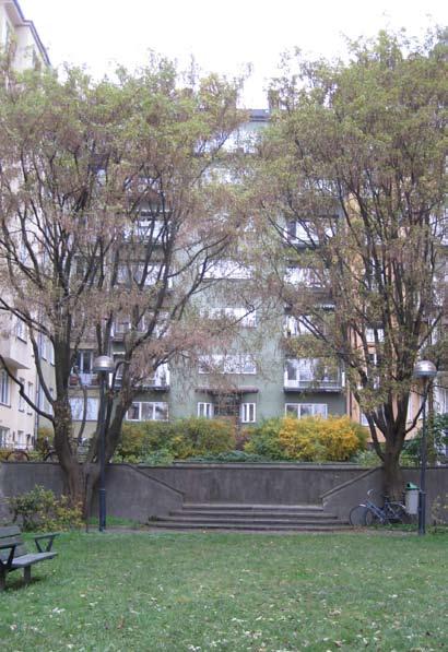 4. jaktvarvsgården