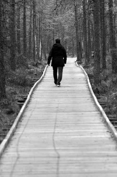 En sommarvandring på magiska Dumme Mosse är inte alls dumt Dumme mosse är ett av länets största och mest varierade myrområde med många olika våtmarkstyper.