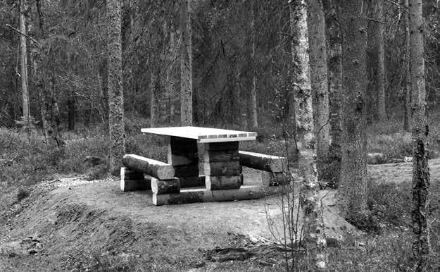 Vill du spana fågel finns ett fågeltorn i norr. Under april och maj kan du höra tranan trumpeta liksom på hösten före flytten.