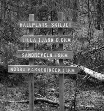 Från november 2016 har delar av vandringsleden på Dumme mosse börjat att byggas om, för att bli mer tillgänglig. Spänger breddas och en del stigar kommer att grusas.