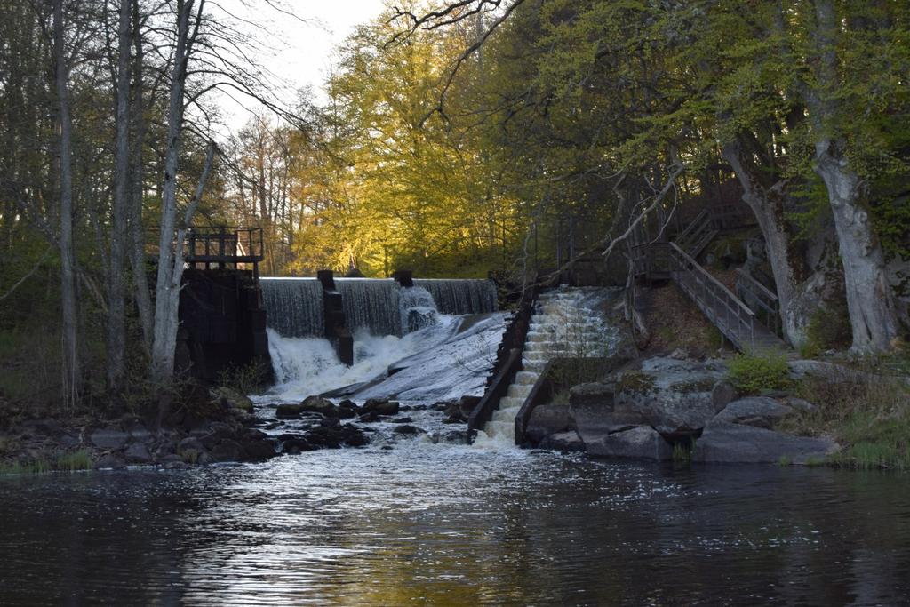 Bräkne-Hoby Företag med anknytning till besöksnäringen Ateljé Backstigen Backteman art Britta Jeppsson (Akvarellmålningar) Gula Huset