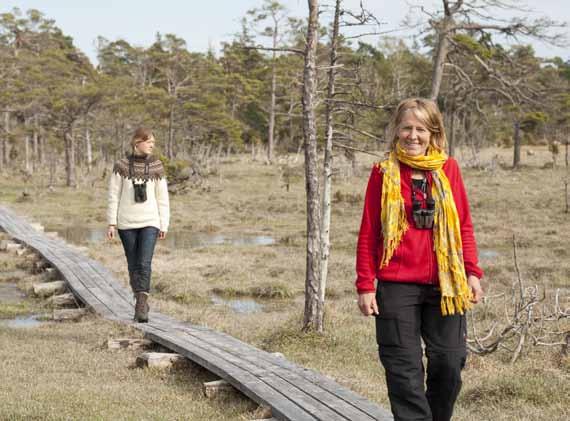 Det kan till exempel innebära reglering av betestider och antal djur, samt att vissa områden endast röjs lätt och får förbli betesfria. Guckusko Guckusko Kärrlilja 8 missgynnar arten.